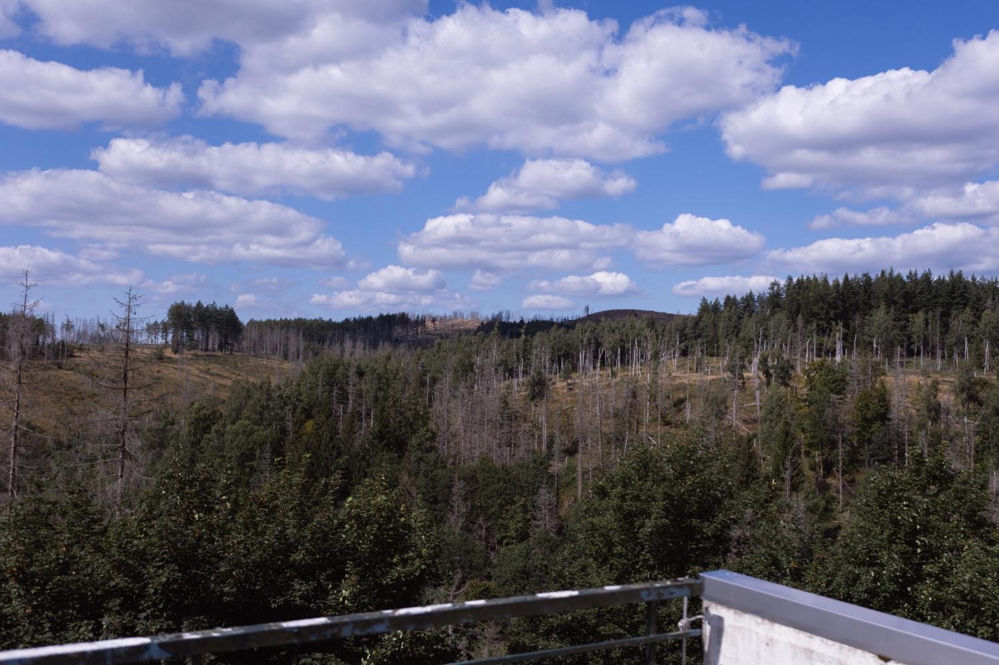 Terrassenhaus Im Harz, Pool, Sauna, Wlan Braunlage Esterno foto